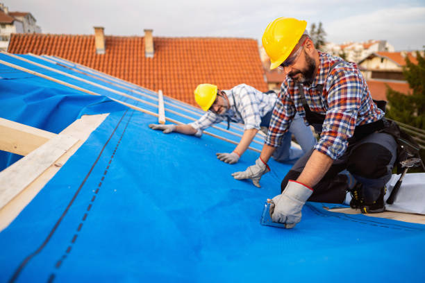 Best Gutter Installation and Roofing  in Verona, PA